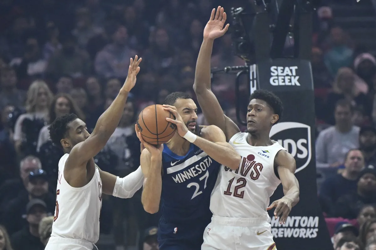 Rudy Gobert Wolves