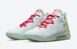 Une LeBron 18 en hommage à Diana Taurasi