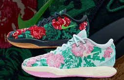 La LeBron 21 se met aux couleurs du… canapé de sa grand-mère !
