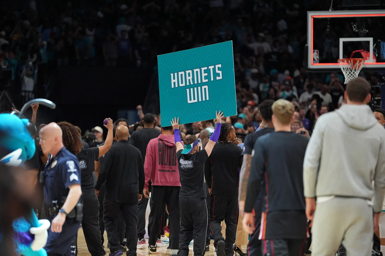 hornets charlotte
