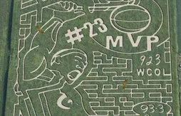 Le meilleur de la semaine (47)