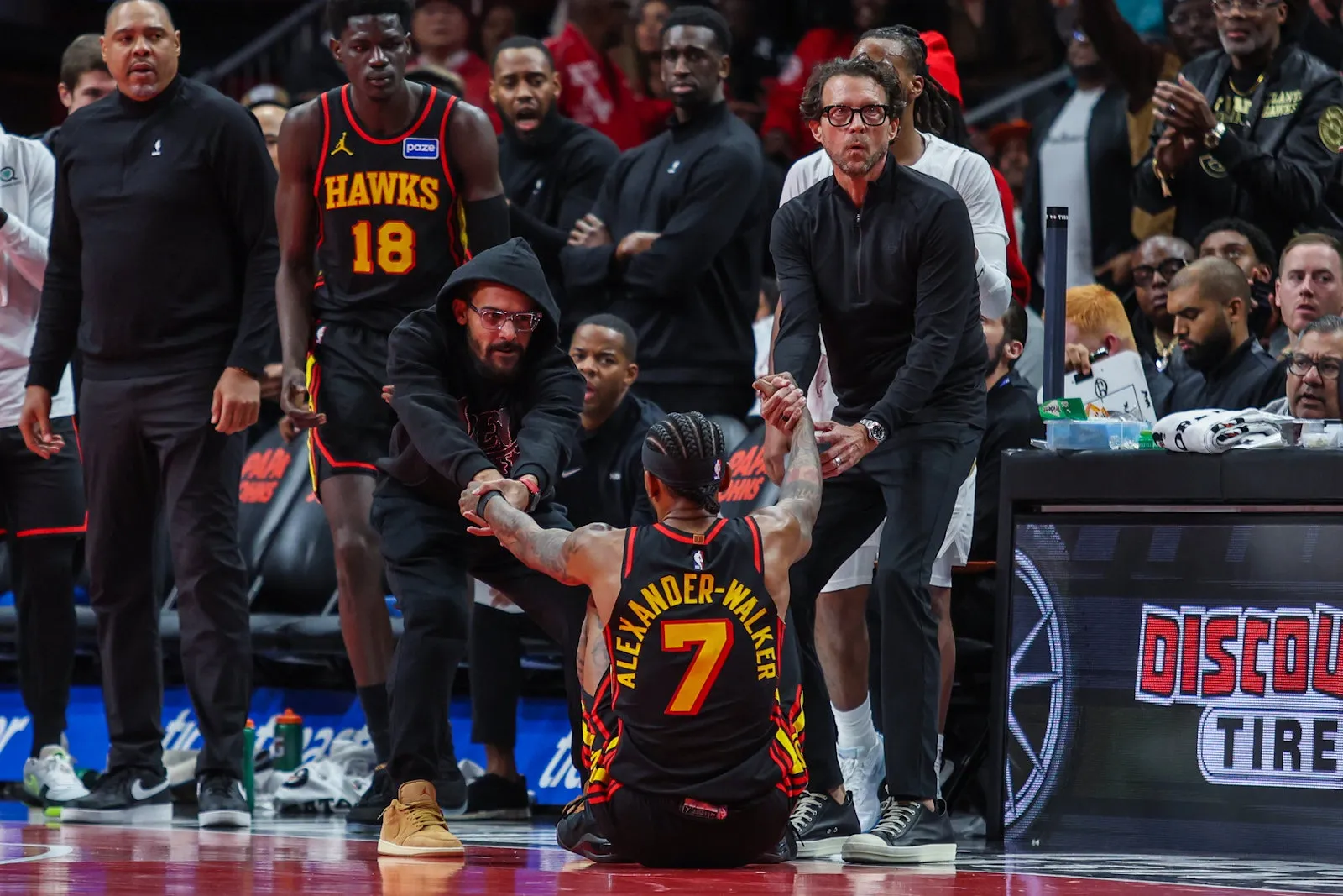 hawks