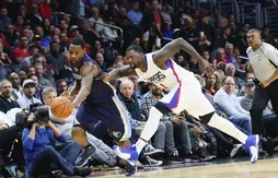 Les Grizzlies, les anti-Bisounours