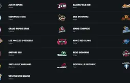 Casse-tête pour la NBA : les Pacers vont racheter les Fort Wayne Mad Ants, dernière franchise indépendante en D-League