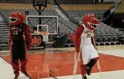 Une nouvelle mascotte pour les Raptors