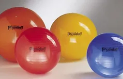 Blessure de Francisco Garcia : faut-il interdire le physioball ?