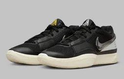 Un coloris fumeux pour la Ja 1