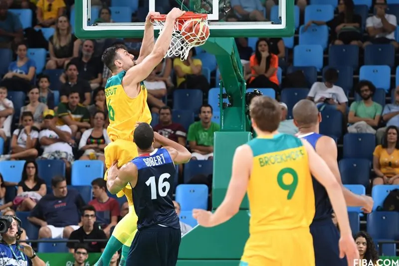 bogut copie