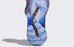 Adidas : du vert pour Jaylen Brown, une licorne pour Kristaps Porzingis