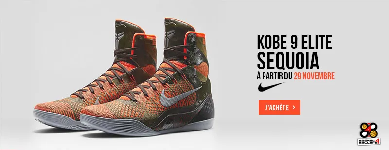 kobe-sequoia