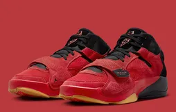 Une touche de daim sur la Zion 2