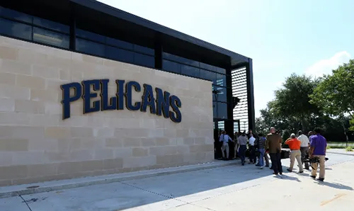 pelicans2