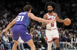 Les Bulls envoient Coby White aux Hornets !