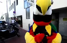 Le buzz du jour : Boris Diaw transformé en perroquet