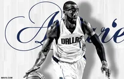 Amar’e Stoudemire : “J’ai une opportunité formidable de pouvoir jouer le titre”