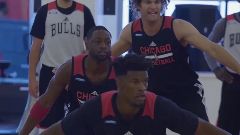 bulls-camp