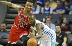 Présaison : des Hornets appliqués face aux Bulls