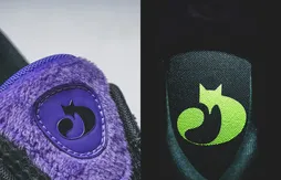 Une date de sortie officielle pour la Curry Fox 1