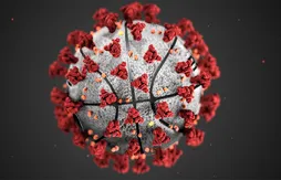 Covid-19 : quel impact et quelles séquelles sur le physique des joueurs ?