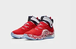 Nike : la LeBron 17 jouera quand même les Jeux Olympiques