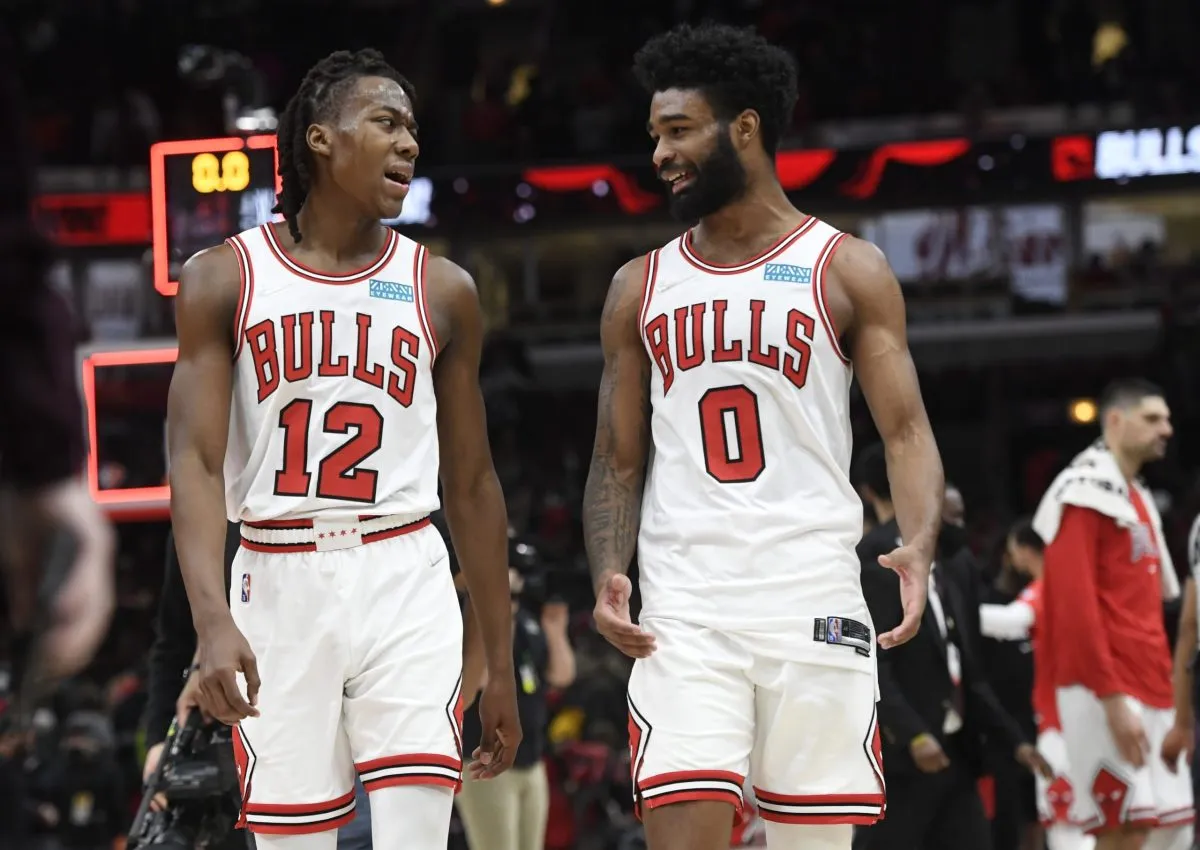 bulls