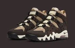 Un nouveau coloris pour la Nike Air Max2 CB 94