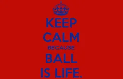 La rencontre avec le “Ball Is Life”…