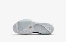 Test de chaussures – Entrée en matière efficace pour Giannis Antetokounmpo avec sa Zoom Freak 1