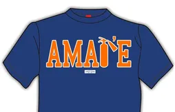 Amare Stoudemire : absent jusqu’à la fin de la série face à Miami ?
