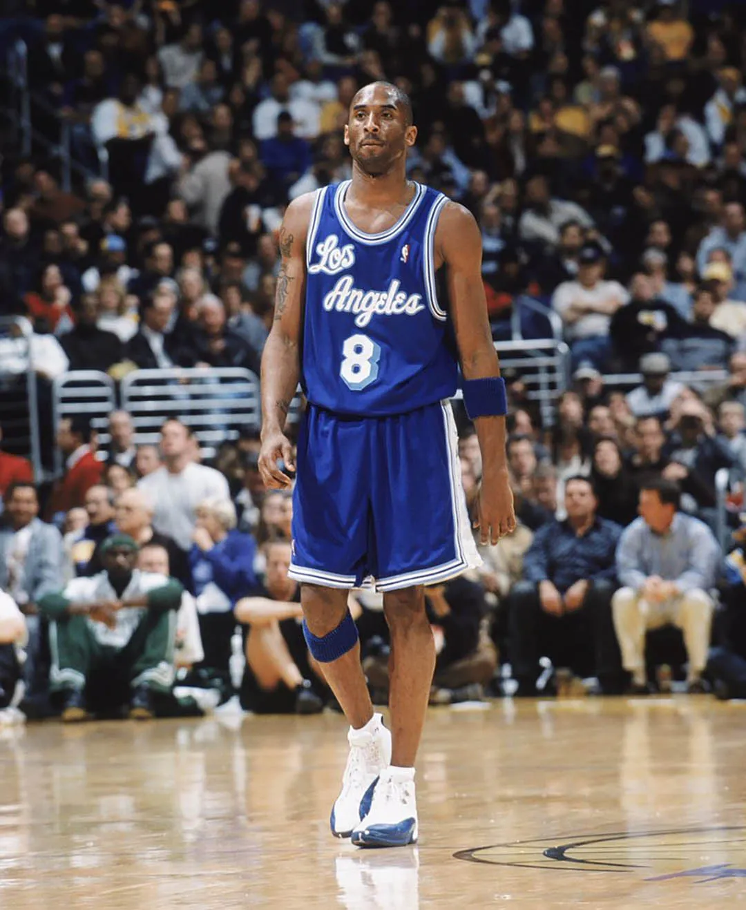 Air Jordan 12
