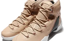 Une LeBron 13 Elite en cuir surprenante