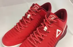 Peak : une version basse pour la TP9-II