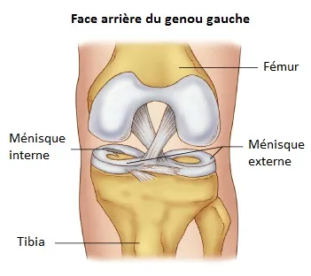 face-arriere-genou-gauche