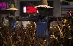 [trailer] NBA 2K20 : à la découverte de votre nouveau quartier