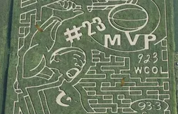 Le meilleur de la semaine (47)