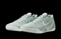 La Kobe 9 Low EM Protro reçue 10/10