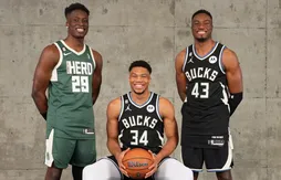 Après Giannis et Thanasis, les Bucks signent Alex Antetokounmpo !