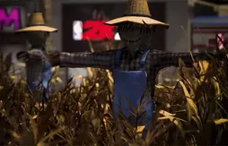 [trailer] NBA 2K20 : à la découverte de votre nouveau quartier