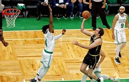 Nemanja Bjelica contraint de prendre sa retraite ?