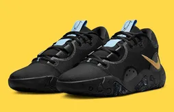 Une PG 6 en noir et or