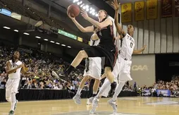 March Madness : Northeastern se qualifie pour la première fois depuis 1991