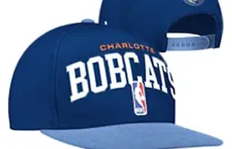Les Bobcats vont-ils changer leurs couleurs ?