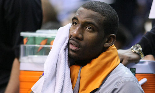 amare stoudemire