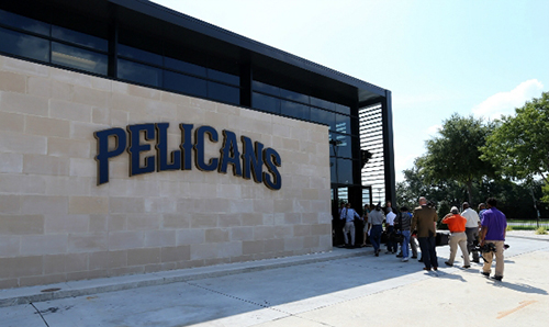 pelicans2