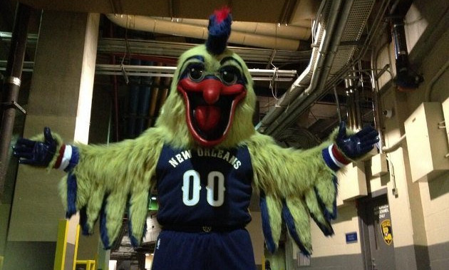 Pierre, la mascotte des Pelicans