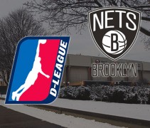 nets-d-league
