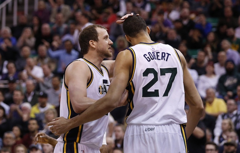 Rudy Gobert