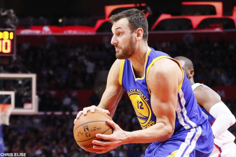 Andrew Bogut