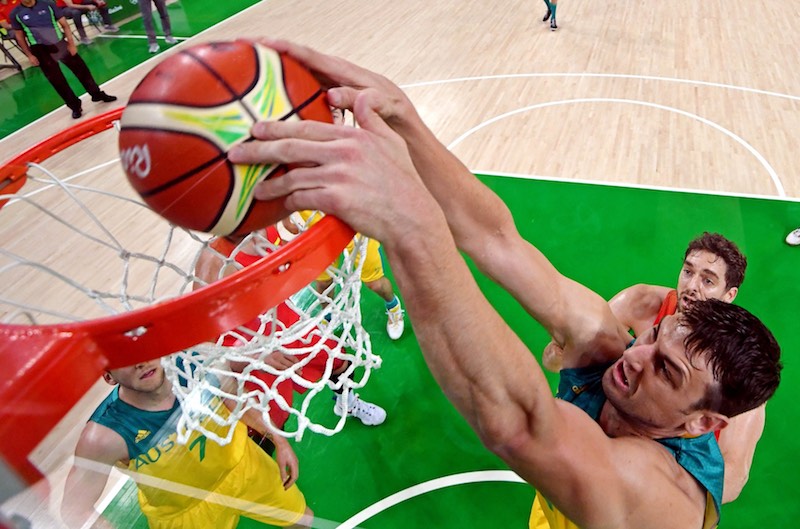 bogut-jo