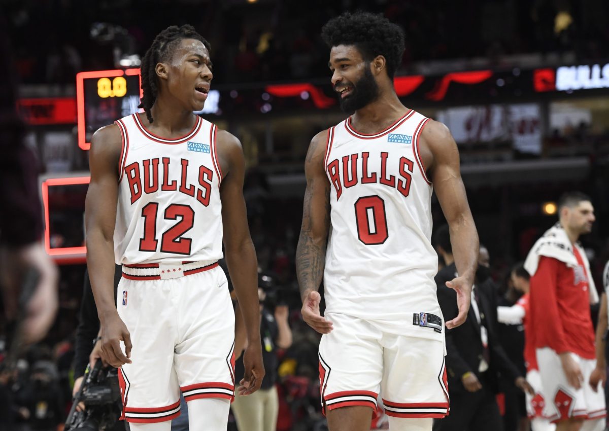bulls